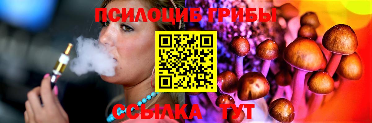 Псилоцибиновые грибы мицелий  Вход с VPN  Александров 