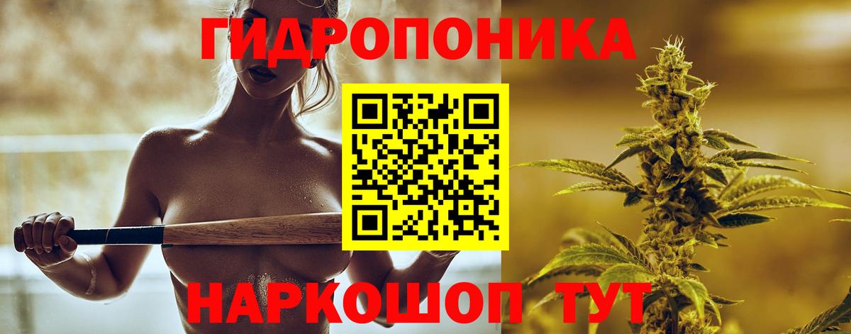 Канабис марихуана Александров